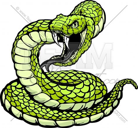 Striking Viper or Coiled Snake | Clipart Panda - Free Clipart Images Viper Logo, Rattlesnake Tattoo, Snake Clipart, Snake Sketch, Battle Vest, Snake Painting, Cobra Tattoo, Viper Snake, Rattle Snake