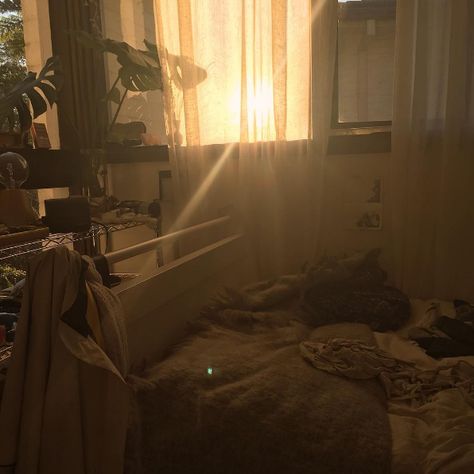 roseperfume: “https://www.instagram.com/p/BKAzG1vAKHN/ ” Room Goals, Morning Person, Morning Light, My New Room, Dream Room, Light And Shadow, Future House, Room Inspo, Room Inspiration