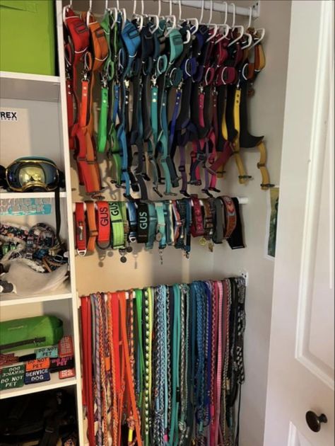 Dog Supply Closet, Service Dog Equipment, Dog Gear Organization, Aesthetic Dog Supplies, Tactical Dog Gear, Dog Supplies Organization, Dog Room Design, Pet Store Ideas, Dog Room Decor