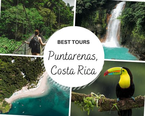 Discover the top-rated must-do tours in Costa Rica's Puntarenas cruise port Puerto Caldera.Cloud hikes to Ziplines. Puntarenas has it all. Find all the best tours in this port guide.Gallivanting Souls Cruise 101, Tortuga Island, Panama Canal Cruise, Puntarenas Costa Rica, Manuel Antonio National Park, Puntarenas, Panama Canal, Cruise Port, Cruise Tips