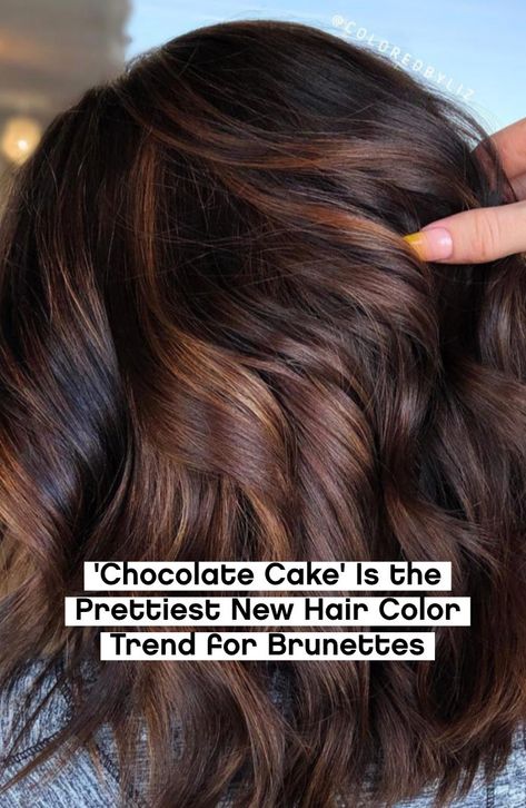 New Hair Color Trends, Face Framing Curtain Bangs, Bangs Straight, Brown Hair Looks, Fall Hair Color For Brunettes, Hair Color And Cut, New Hair Colors, Fall Hair Color, Curtain Bangs