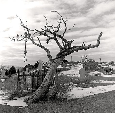 Billie Holiday Family Tree | ... , strange fruit hanging from the poplar trees." ~Billie Holiday Virginia City, Las Vegas City, Hanging Tree, Southern Gothic, History Photos, Haunted Places, Mountain Man, Old West, Dark Forest