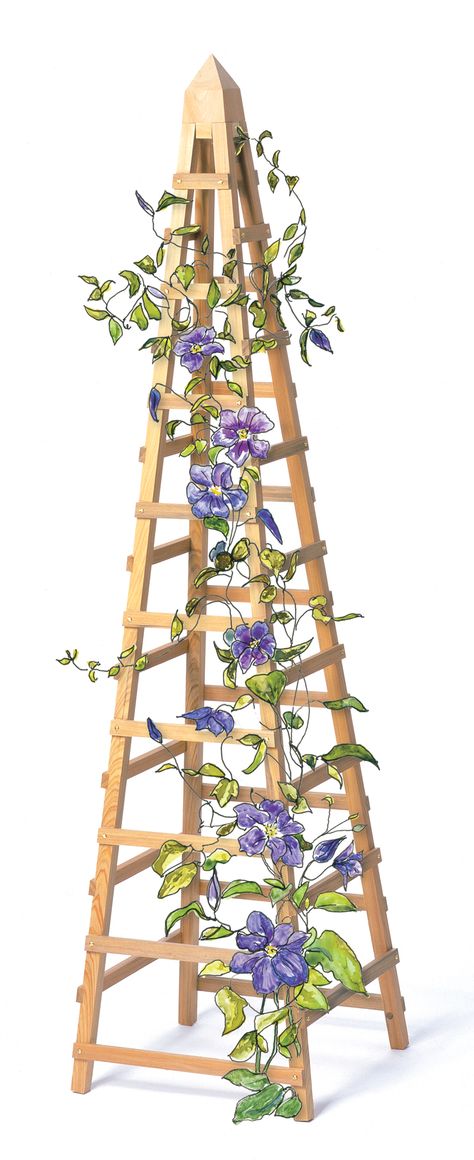 Pot Trellis, Vine Trellis, Diy Garden Trellis, Garden Obelisk, Garden Vines, Woodworking Magazine, Have Inspiration, Popular Woodworking, Outdoor Wood