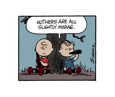 **have to be in order to survive** Charlie Brown Quotes, Peanuts Cartoon, Joe Cool, Charlie Brown Peanuts, Charlie Brown And Snoopy, Cartoon Quotes, Peanuts Gang, Calvin And Hobbes, Snoopy And Woodstock