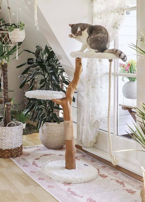 Our products range from handmade cat towers to the best cat beds. Explore a variety of luxury cat furniture you & your cat will love. Loafing Cat, Luxury Cat Furniture, Unique Cat Trees, Cat Tree Designs, Wooden Cat Tree, Chat Diy, Fuzzy Cat, Cat Climbing Tree, Cool Cat Trees