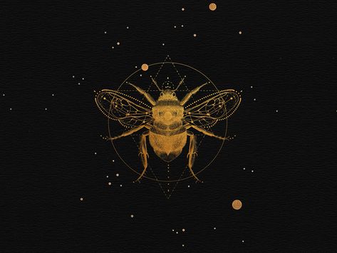 Vintage Bee Tattoo, Sacred Bee, The Night Circus, Bee Icon, My Moon And Stars, Bee Illustration, Night Circus, Witchy Wallpaper, Vintage Bee