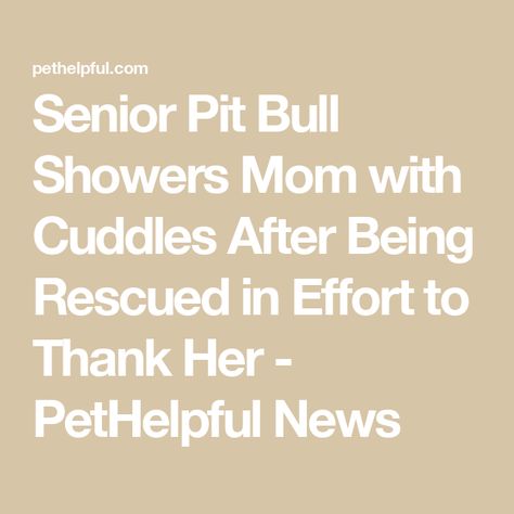 Senior Pit Bull Showers Mom with Cuddles After Being Rescued in Effort to Thank Her - PetHelpful News Pitbull Rescue, Dog Health, Health Problems, Shower