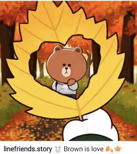 Leaf Coneybear, Hny Card, Bear Drawings, Cony Brown, Cute Bear Drawings, Line Friends, Cute Bears, Animation Art, Illustrations