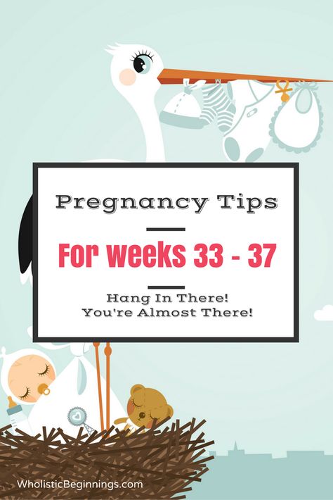 5 Weeks Pregnant, Prenatal Nutrition, Positive Pregnancy Test, Pregnancy Nutrition, Second Trimester, Weeks Pregnant, Third Trimester, Morning Sickness, First Trimester