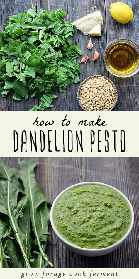 Dandelion Pesto Recipe, Dandelion Pesto, Dandelion Greens, Food Foraging, Simple Appetizer, Wild Food Foraging, Foraging Recipes, Foraged Food, Herbal Recipes