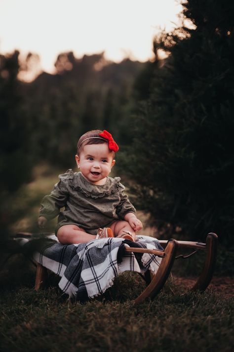 Baby girl sits on an antique wooden sled in a row of Christmas trees for mini session Sled Christmas Pictures, Toddler Tree Farm Photos, Christmas Sled Photoshoot, Christmas Mini Shoot Outdoor, Outdoor Christmas Minis, Christmas Photos Outdoor, Christmas Tree Mini Session, Simple Christmas Mini Sessions Outdoor, Outdoor Christmas Photography