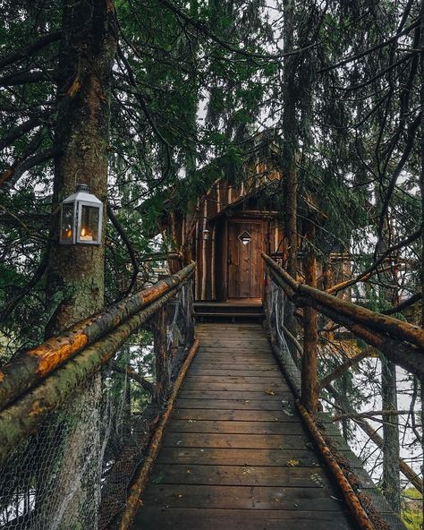 House In The Trees, Build Your Own Cabin, Diy Cabins, Shed Tiny House, House Aesthetics, Building A Treehouse, Nature Is Beautiful, Forest Cabin, Cabin Cottage