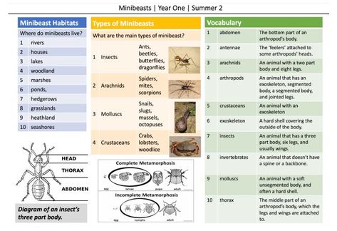 How to get the best out of knowledge organisers in your classroom Knowledge Organisers, What Is Knowledge, Long Paragraphs, Pop Quiz, Assessment Tools, Important Facts, Sustainable Energy, One Summer, The More You Know