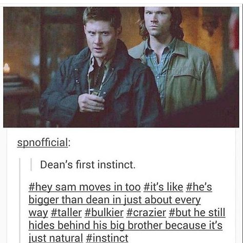 Lil Puppy, Winchester Brother, Spn Memes, Supernatural Quotes, Supernatural Destiel, Tv Supernatural, Winchester Boys, Supernatural Memes, Supernatural Fans