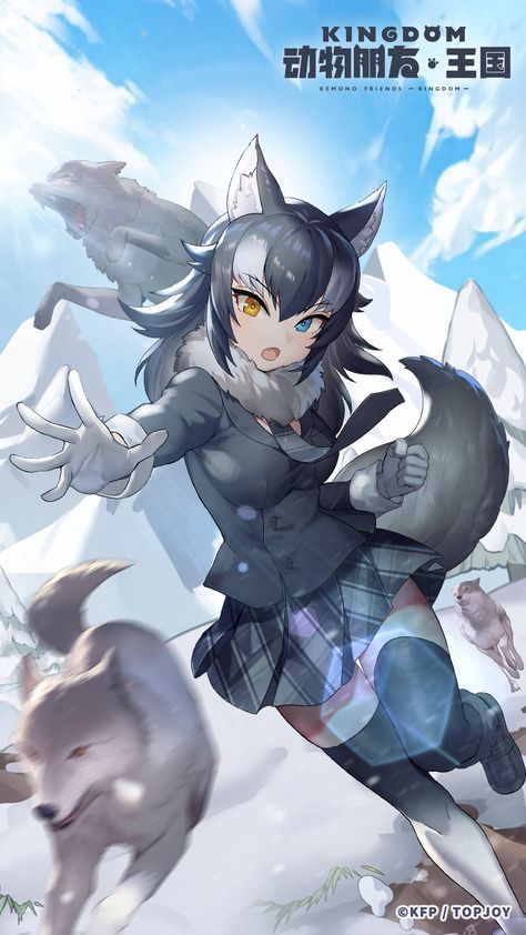 Simple Anime, Wolf Ears, The Devils, Gamer Pics, Gray Wolf, Kemono Friends, Dire Wolf, Snow Girl, Fox Girl