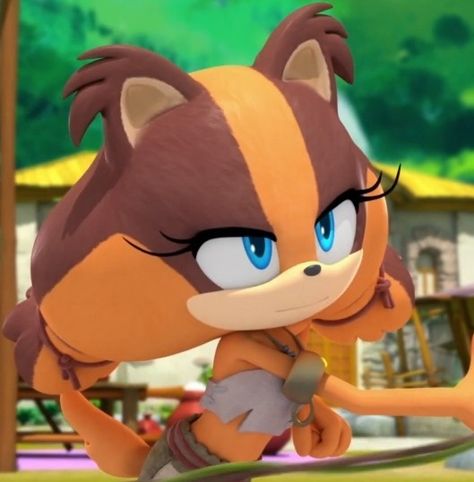 Sonic Boom Characters, Sticks Sonic Pfp, Sticks Sonic Boom Icons, Sticks From Sonic, Sticks Sonic, Sticks The Badger, Sonic Face, Hedgehog Game, Sonic Prime