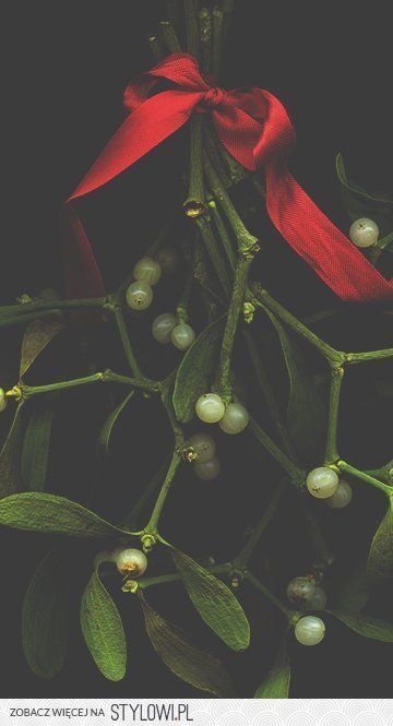 Christmas Mistletoe Aesthetic, Mistletoe Aesthetic, Mistletoe Background, Mistletoe Wallpaper, Seasonal Backgrounds, Bookstagram Photos, Christmas Backgrounds, Christmas Lovers, Christmas Time Is Here