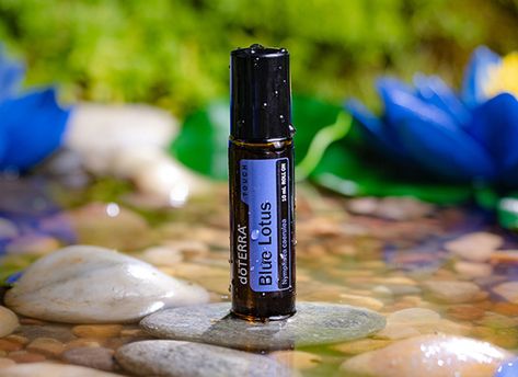 Blue Lotus Touch | dōTERRA Essential Oils Doterra Blue Lotus, Natural Skin Moisturizer, Pulse Points, Blue Lotus, Fractionated Coconut Oil, Daily Skin Care Routine, Daily Skin Care, Doterra Essential Oils, Hydrate Skin