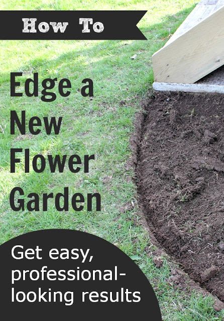 The Creek Line House: How to Edge a Flower Garden New Flower, Easy Flower, Have Inspiration, Garden Yard Ideas, Garden Edging, House Diy, Flower Bed, Outdoor Landscaping, Lawn And Garden