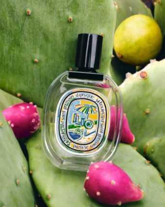 Cue the compliments. Diptyque Ilio, Skin Scent, Summer Perfumes, Fruit Plus, Malibu Sunset, Diptyque Paris, Spa Menu, Summer Perfume, Summer Scent