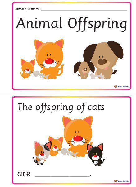 Posters Classroom, Classroom Games, Games And Activities, Elementary School Teacher, Education Poster, Science Activities, Pet Names, Elementary School, Teacher Resources