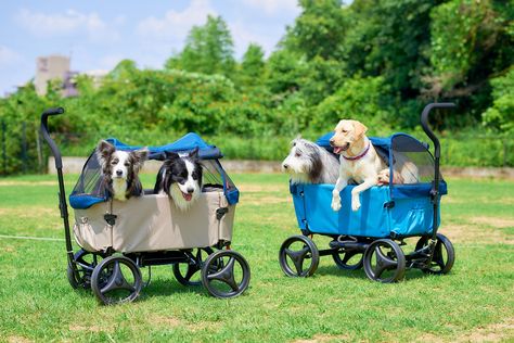 PERFECT FOR OUTDOOR ACTIVITIES: The Ibiyaya Noah All-Around Beach Dog Wagon Stroller is a specially designed wagon to pull dogs during beach vacations... Dog Wagon, Store Drinks, Wagon Stroller, Best Wagons, Pet Strollers, Beach Wagon, Beach Dog, Pet Stroller, Swimming Suits