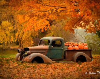 Minnesota Barns & Nature by MinnesotaBarnsNature on Etsy Pumpkin Patch Photo Backdrop, Pumpkin Patch Photography, Patch Photography, Pumpkin Patch Pictures, Fall Backdrops, Truck Pics, Truck Decor, Pumpkin Pictures, Pumpkin Photos