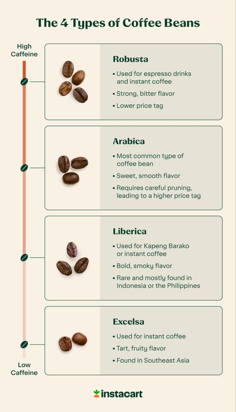 Aesthetic Barista, Coffee Information, Coffee 101, Coffee Menu Design, Types Of Coffee Beans, Coffee Tips, Coffee Infographic, Coffee Origin, Coffee Shop Branding