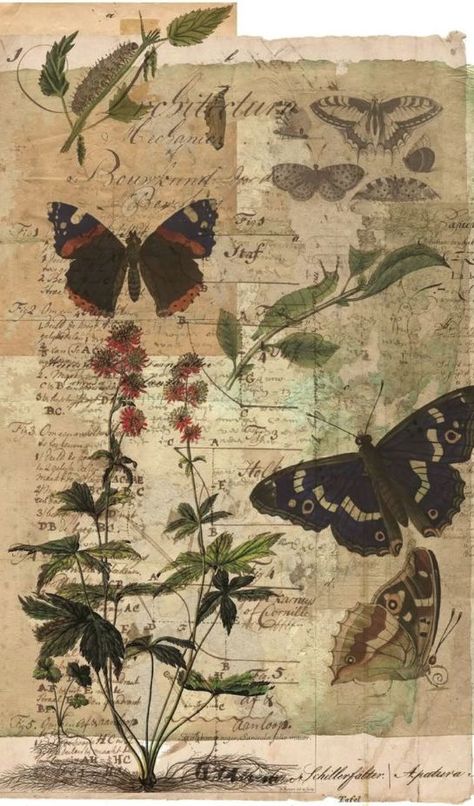 Butterfly Collage, Visuell Identitet, Butterflies And Flowers, Foto Tips, Picture Collage Wall, Poster Minimalist, Vintage Poster Art, Print Collage, Art Collage Wall