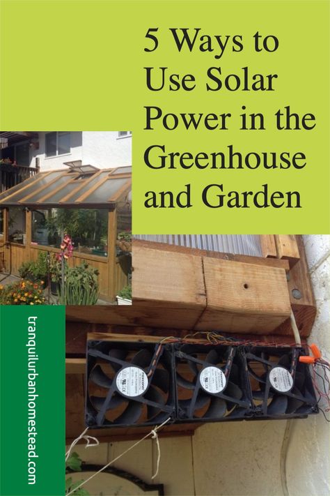 Saving money, saving the environment and saving time. These are the main reasons why using solar power in the garden and greenhouse is such a good idea! Solar Power For Greenhouse, Solar Panel For Greenhouse, Greenhouse Solar Panels, Solar Power Greenhouse, Solar Panel Greenhouse, Solar Heater For Greenhouse, Greenhouse Solar Heating, Greenhouse Solar Lights, Solar Greenhouse Ideas