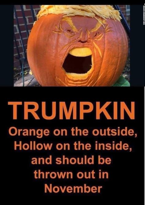 November Quotes, Caricatures, Quotes Funny, Pumpkin Carving, The Outsiders, Funny Pictures, Funny Quotes, Humor, Orange