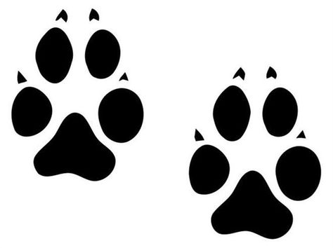 Wolf tracks, set of 6.. vinyl wall art Wolf Tracks, Art Wolf, Wolf Animal, Lion Paw, Wall Art Decal, High Gloss Paint, Animal Tracks, Vinyl Wall Art Decals, Pet Paws