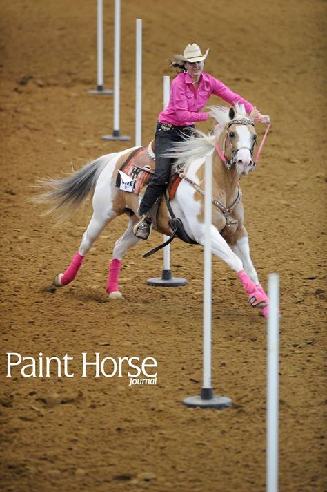 Pole bending paint horse Pole Bending, Riding Clothes, Eventing Horses, Rodeo Horses, Horse Riding Clothes, Cowgirl And Horse, Rodeo Life, Western Riding, Most Beautiful Animals