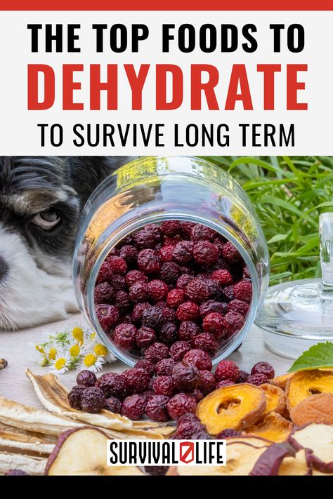 Whether you’re a prepper or just a practical person, it pays to know the best foods to dehydrate. Dehydrated foods last longer and having these in your arsenal is a wise move. It’s best to be always prepared especially in our current economy. #fooddehydration #dehydrate #survivalfood #survival #survivallife Foods To Dehydrate, Dehydrator Recipes Fruit, Best Food Dehydrator, Dehydrating Food Storage, Survival Food Storage, Food Dehydration, Emergency Preparedness Food, Dehydrated Foods, Home Canning Recipes