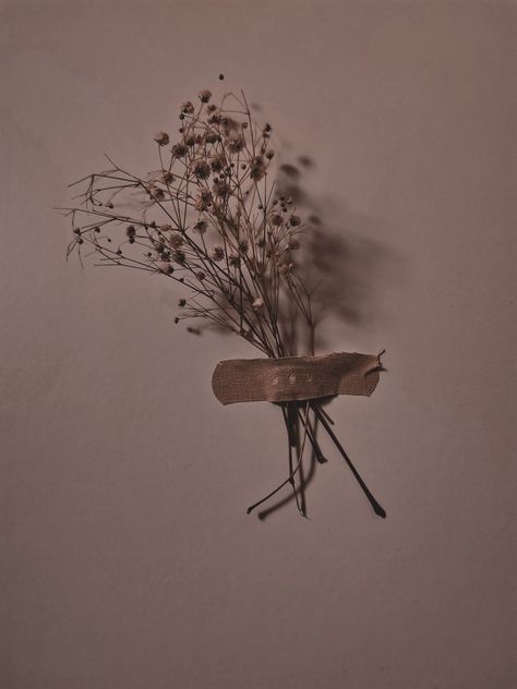 Dp For Poetry Page, Poetry Pictures Photography, Brown Photography Aesthetic, Brown Roses Aesthetic, Dandelion Flower Aesthetic, Writing Poetry Aesthetic, Flowers Photography Aesthetic, Dandelion Aesthetic, Flowers Dp