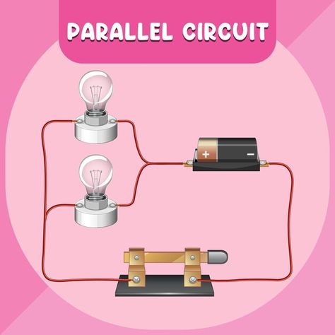 Parallel circuit infographic diagram | Premium Vector #Freepik #vector #science-infographic #physics-science #cartoon-svg #clip-art Parallel Circuit, Infographic Diagram, Human Digestive System, Science Notes, Circuit Projects, Circuit Diagram, Ocean Photography, Vector Photo, Premium Vector