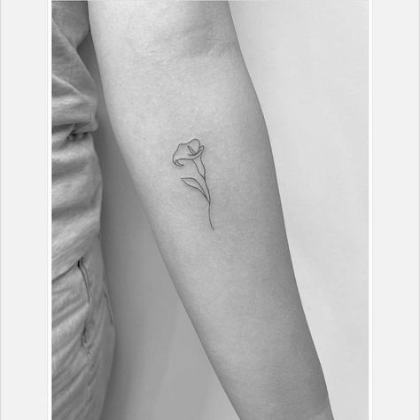 Fine line calla lily tattoo on the inner forearm. Lily Tattoo Designs, Calla Lily Tattoo, Lilly Flower Tattoo, Calla Flower, Water Lily Tattoos, Lillies Tattoo, Lily Tattoo Design, Lily Flower Tattoos, Piercings Ideas