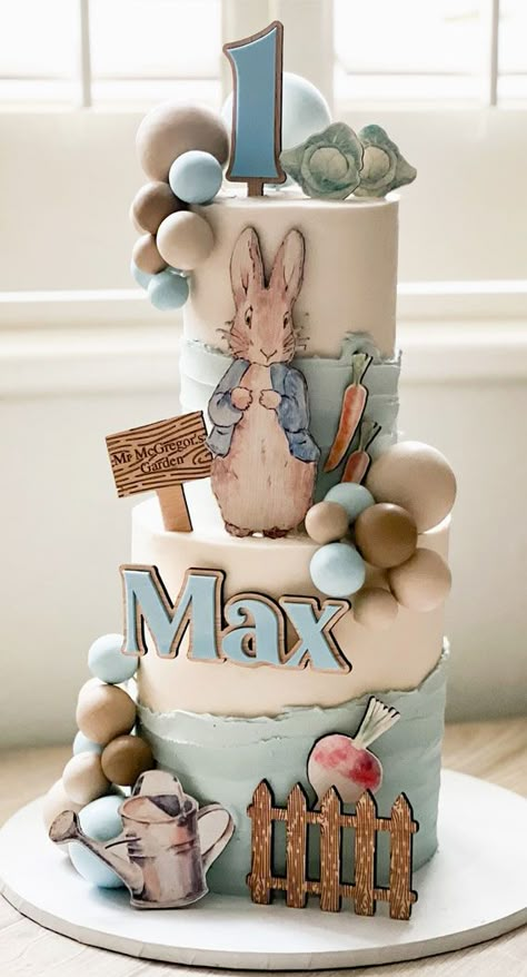 Peter The Rabbit Cake, Peter Rabbit Cakes, Flopsy Bunny Cake, Rabbit Themed Birthday Cake, Peter Rabbit Cake Ideas, Peter Rabbit 1st Birthday Boy, Bunny Theme Cake, Peter Rabbit Birthday Party Cake, Birthday Cake For Baby Boy