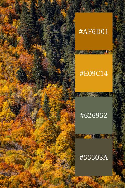 This image showcases a vibrant orange green color palette, featuring a dense forest with lush evergreens interspersed with trees donning brilliant orange foliage, capturing the essence of fall. Orange Green Color Palette, Color Scheme Generator, Green Color Palette, Dense Forest, Green Colour Palette, Palette Color, Color Harmony, Color Palette Generator, Vibrant Orange