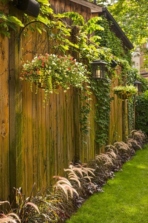 Fenceline lined with plants, hanging and in ground.  #garden #outdoor #fence #privacywalls #fences #hangingplants, #border #gardenbed Privacy Fence Designs, Plants Growing, Backyard Privacy, Front Yard Fence, Proven Winners, Fence Decor, Backyard Fences, Privacy Fence, Wooden Fence