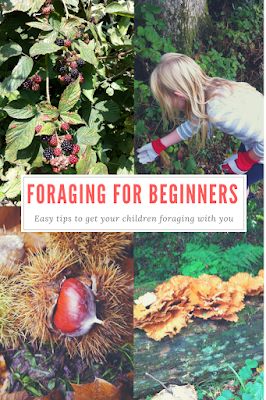 Foraging For Beginners, Craig Jones, Wild Foraging, Wild Food Foraging, Wild Book, Foraging Recipes, Edible Wild Plants, Foraged Food, Survival Gardening