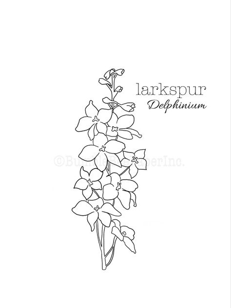 Line Drawing Tattoos, Larkspur Flower, Delphinium Flowers, Bee Coloring Pages, Wood Burning Art, Month Flowers, Drawing Easy, Save The Bees, Delphinium