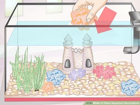 How to Clean Aquarium Decorations (with Pictures) - wikiHow Cleaning Fish Tank, Fish Tank Cleaning, Cleaning Fish, Easy Pets, Fish Tanks, Aquarium Decorations, Fish Tank Decorations, Looking Good, Stay Healthy