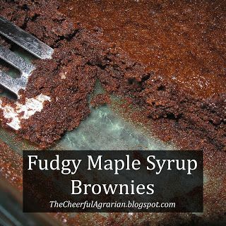 Maple Syrup Brownies, Liquid Soap From Bar Soap, Making Liquid Soap, Make Liquid Soap, Homemade Bar Soap, Maple Syrup Cake, Naturally Sweetened Desserts, Homemade Bar, Sugar Free Brownies