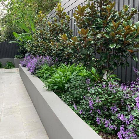 Image1 Garden Design Home, Hamptons Garden, Garden Landscaping Design, Front Of Home, Hampton Garden, Aesthetic Gardening, Landscape Aesthetic, Home Garden Ideas, Courtyard Ideas