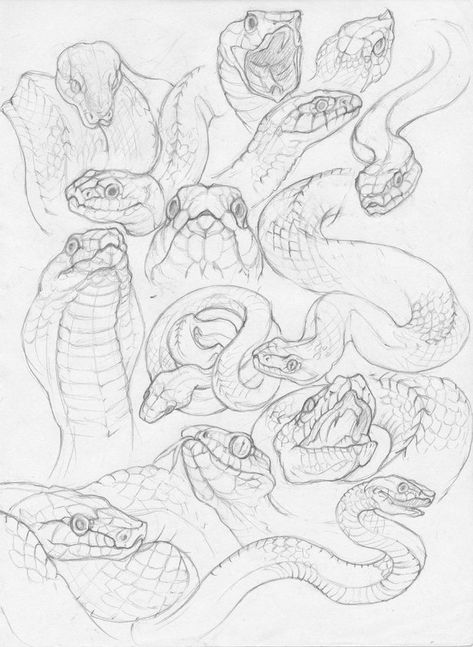 Snake Drawing Reference, Snake Sketches, Pose Ideas Drawing, Snake Sketch, Snake Drawing, Mouth Drawing, Human Drawing, Pose Ideas, Drawing Poses