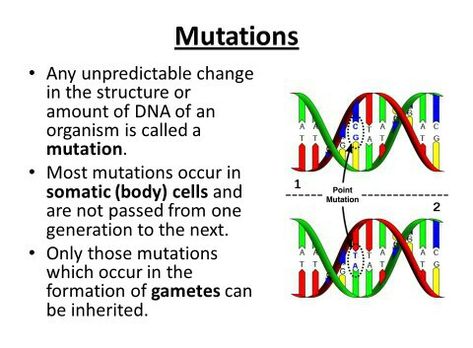 What is DNA mutation? - In biology, a mutation is the permanent alteration of the nucleotide sequence of the genome of an organism, virus, or extrachromosomal DNA or other genetic elements. Dna Activities, Dna Facts, Point Mutation, Learn Biology, Medical Photography, Study Biology, Dna Genealogy, Biology Facts, Medical Laboratory Science