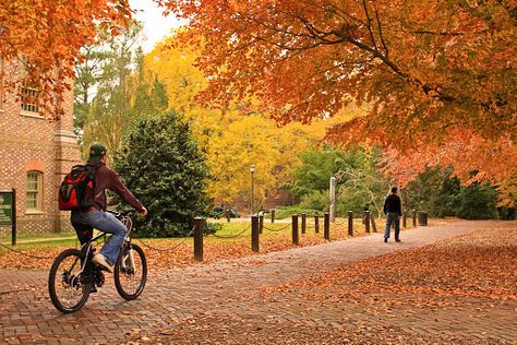 William and Mary campus in the fall :) Oregon College, College Vibes, Brand Essence, Residential School, Happy Autumn, William & Mary, Western Massachusetts, Fall Morning, Bike Pic