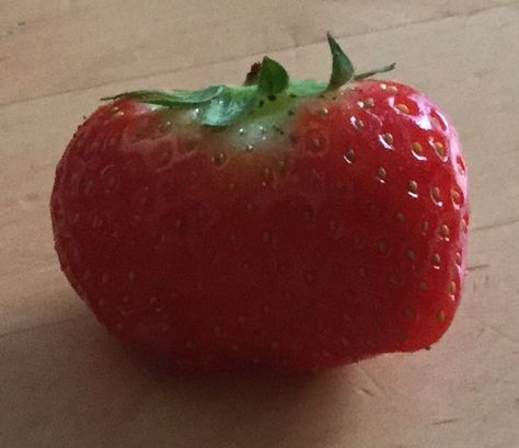 Deformed Strawberry Fruit, Quick Saves