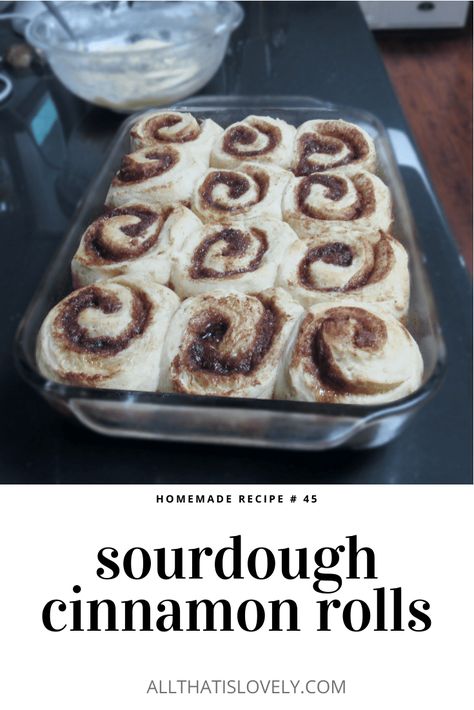 Sourdough Cinnamon Rolls Little Spoon Farm Cinnamon Rolls, Sour Dough Starter Discard Cinnamon Rolls, Sourdough Cinnamon Rolls Overnight Farmhouse On Boone, Giant Sourdough Cinnamon Rolls, Quick Sourdough Desserts, Easy Sourdough Dessert, Overnight Sourdough Cinnamon Rolls, Same Day Sourdough Cinnamon Rolls, All Things Sourdough